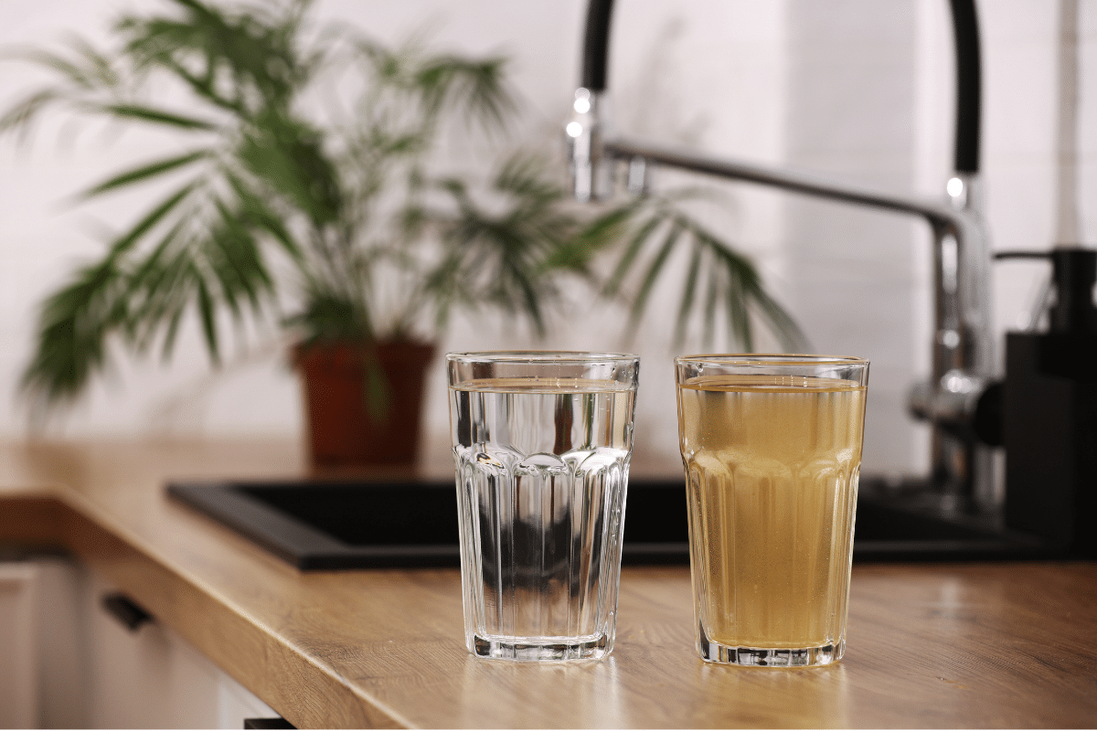 Two glasses of filtered water and non filtered water at kitchen sink.