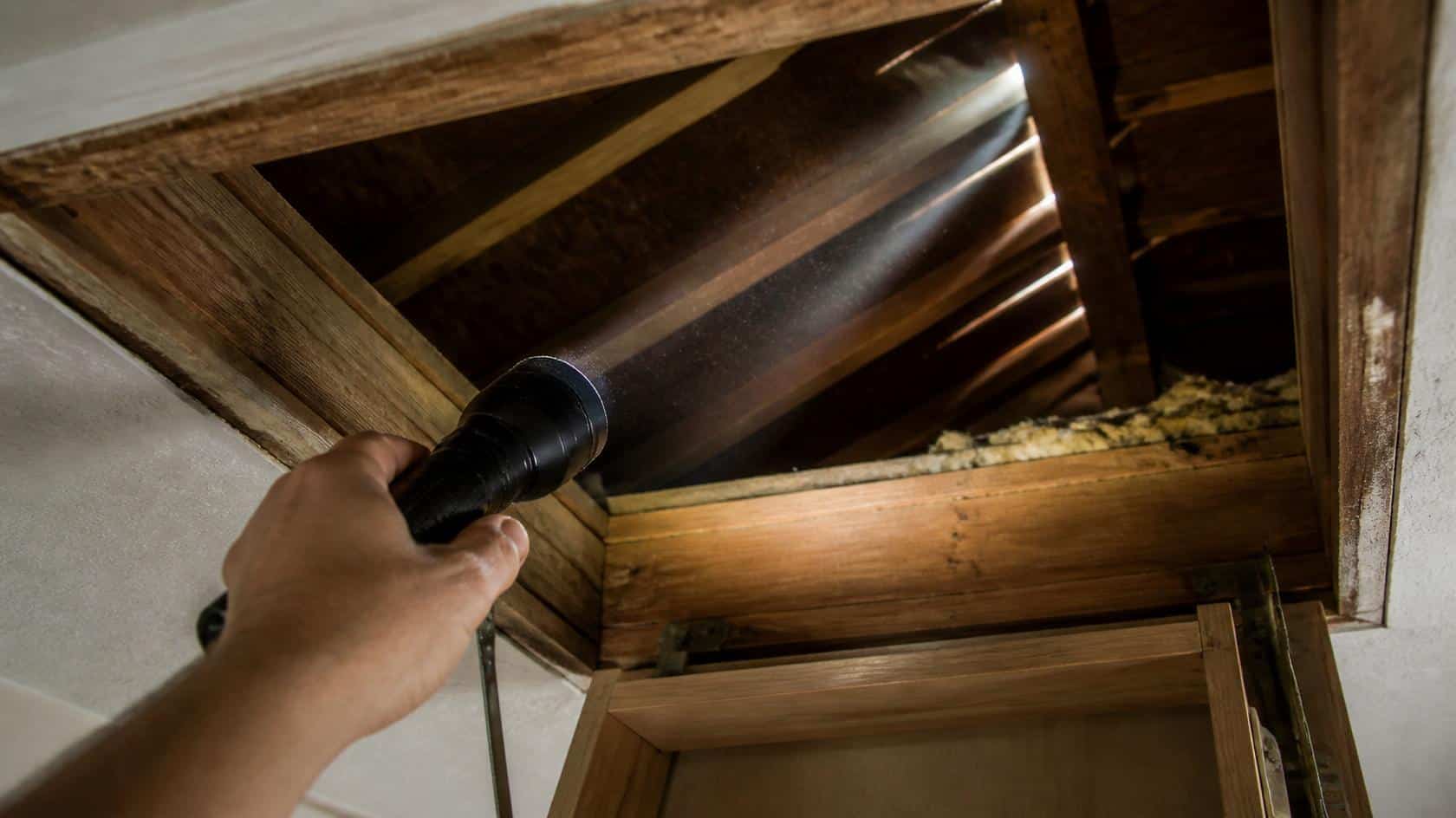 image of a homeowner's hand pointing a flashlight into a wood-framed attic hatch opening, checking for gaps and insulation, dusty attic space visible with roof rafters and sunlight beams filtering through small gaps.